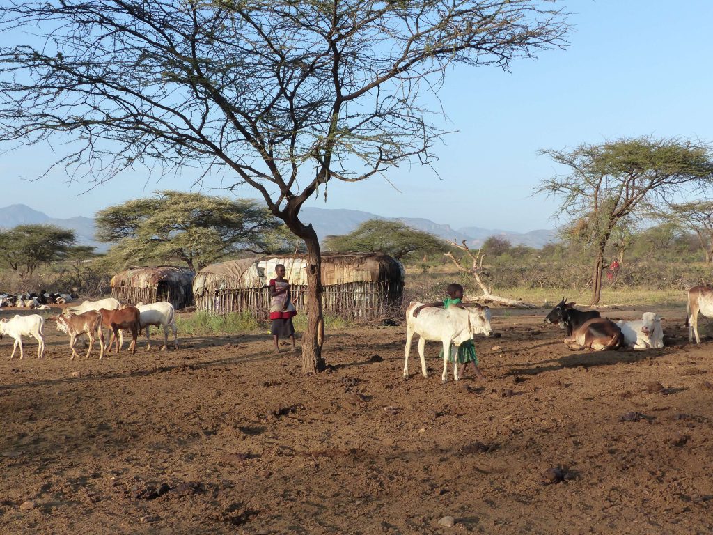 human-animal conflict,  habitat encroachment